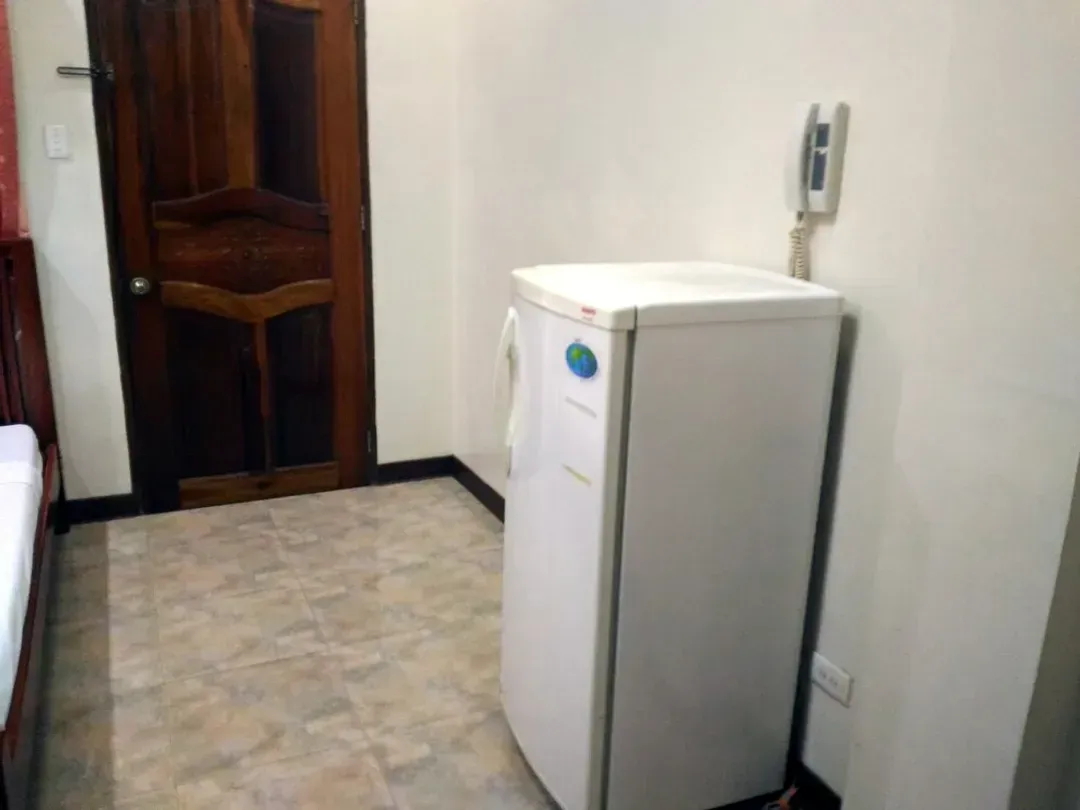 Mini-refrigerator
