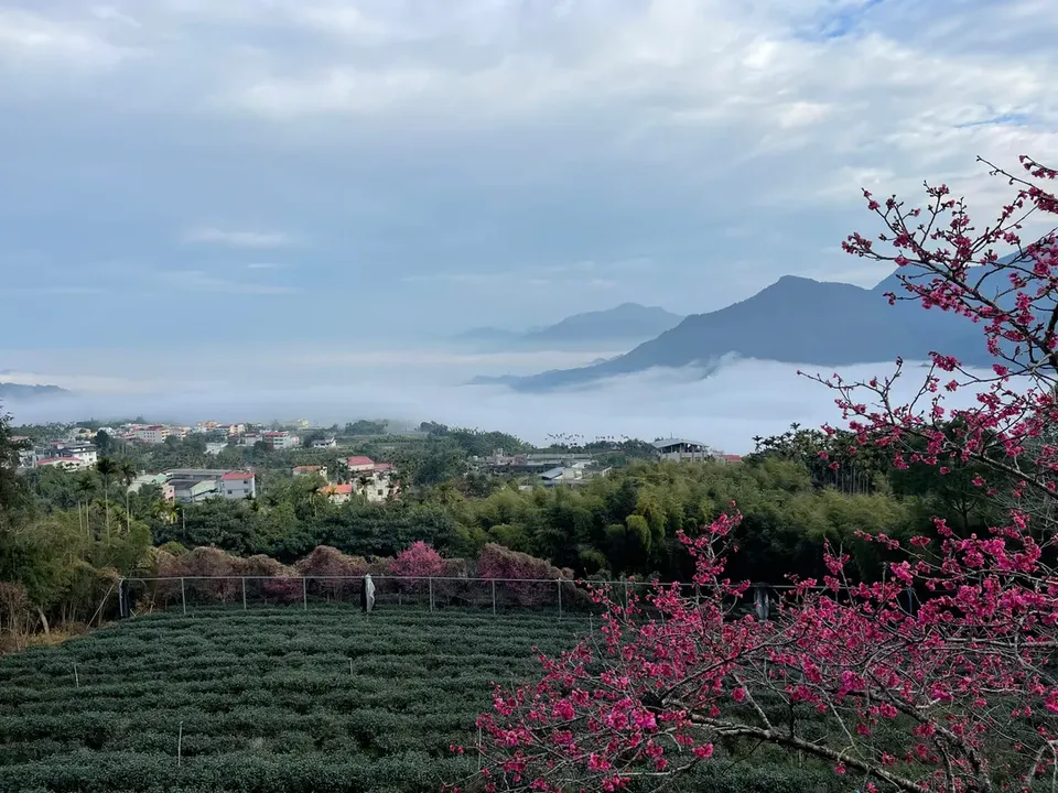 鳳凰·森之鳴 | 獨家7折起！溫馨小木屋、入住送園區門票、導覽課程-5