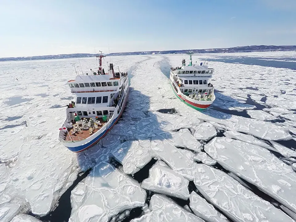 頂級日本跟團行程推薦,【過年折3,000 冬季北海道5日】 保住星野渡假村、破冰船、愛絲冰城、冰釣公魚、銀河流星瀑布、旭山動物園、戲雪活動、活蟹饗宴、美人湯