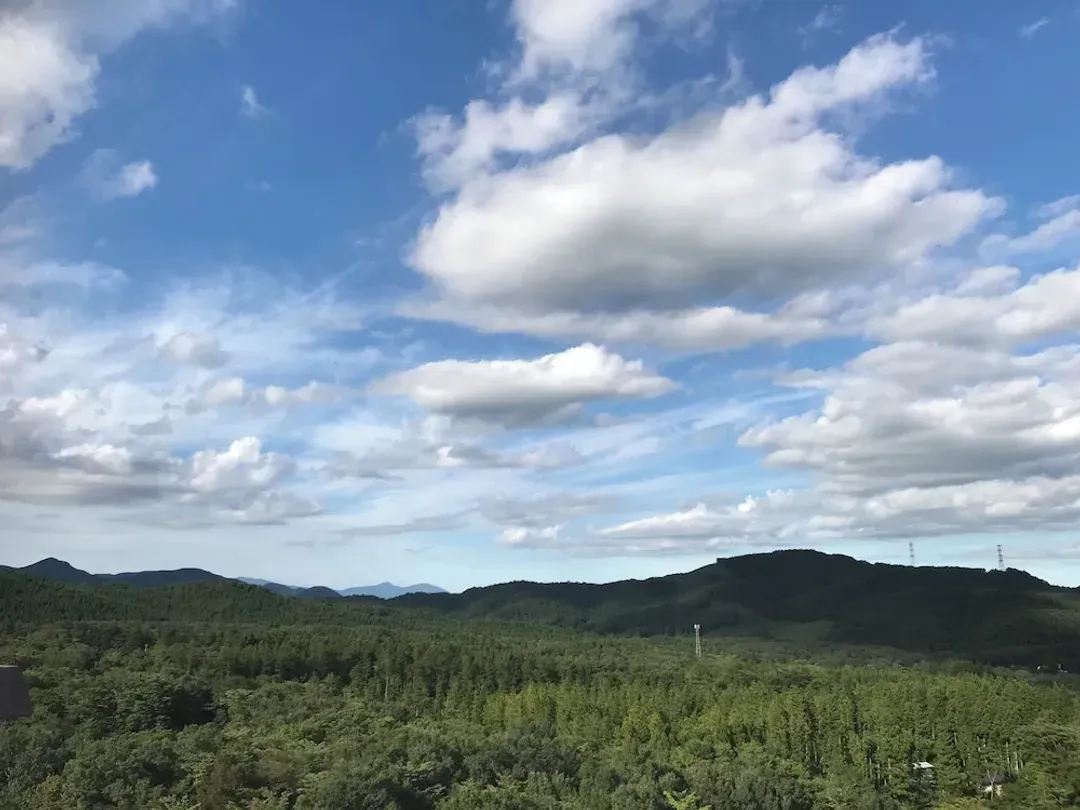 View from room