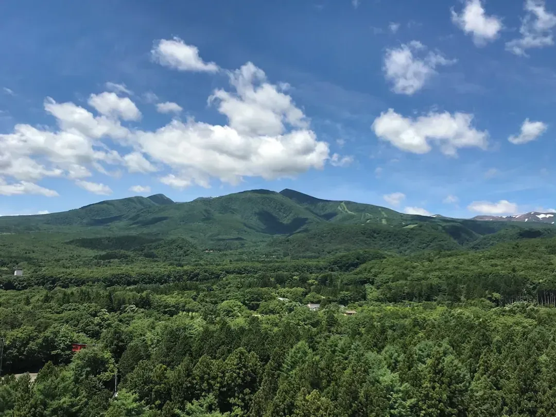 View from room