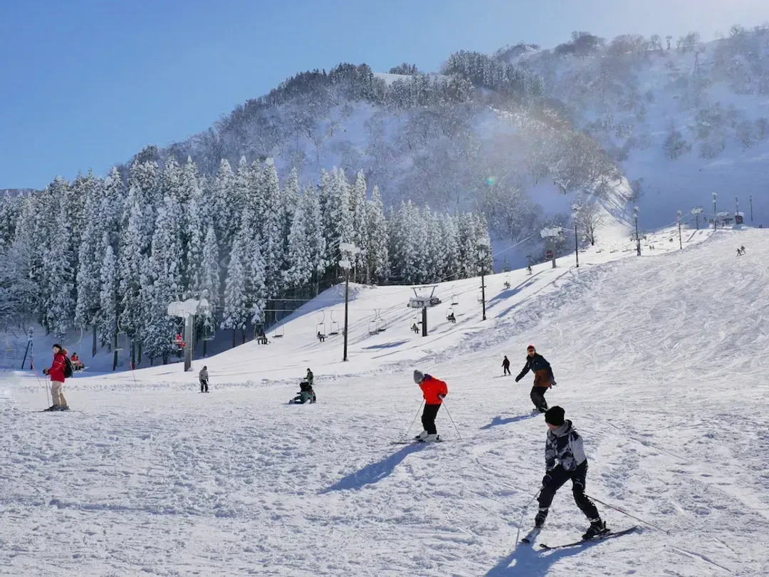 Skiing