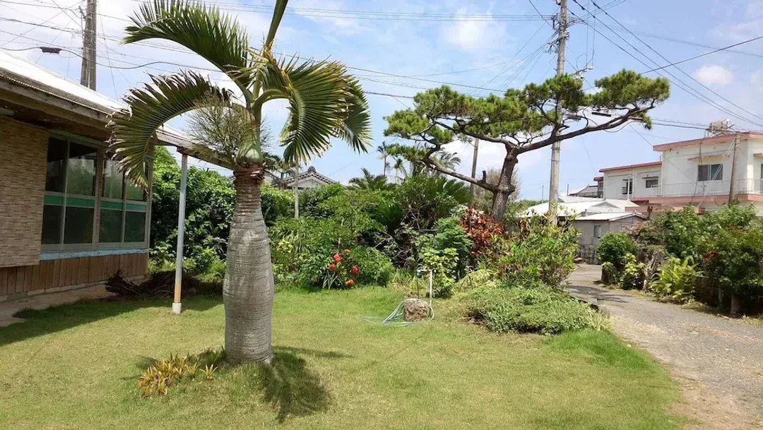 Garden