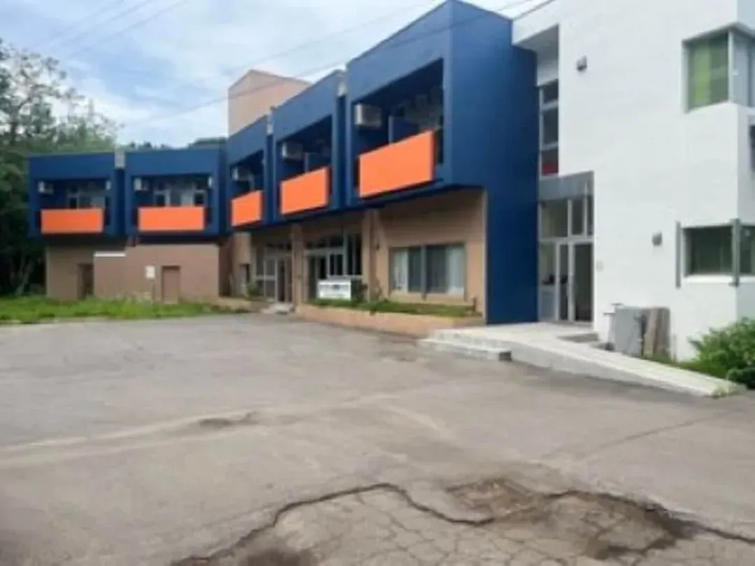Primary image
