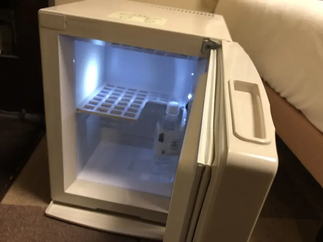 Mini-refrigerator