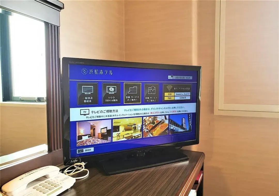 Television