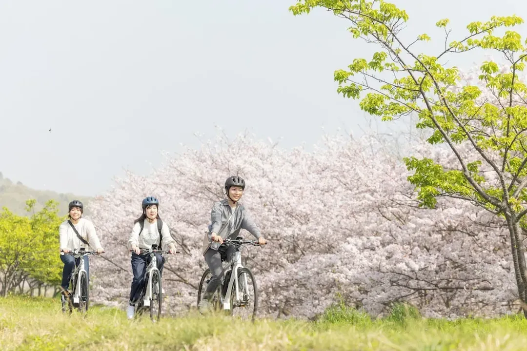 Bicycling