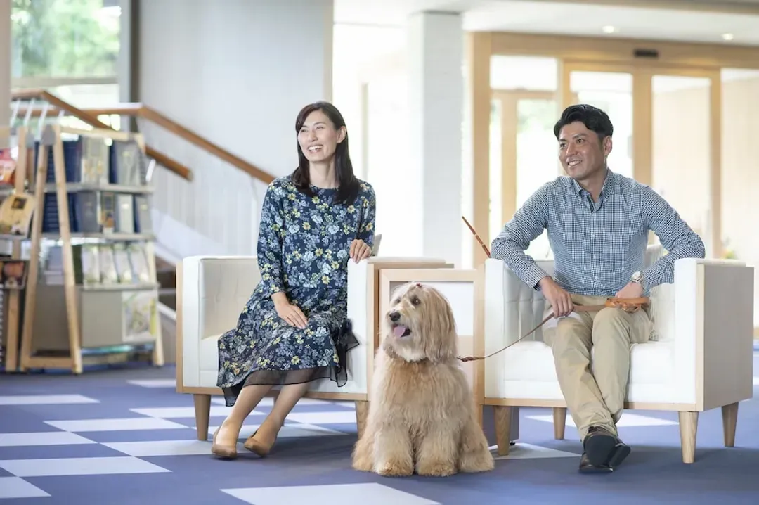 Pet-friendly