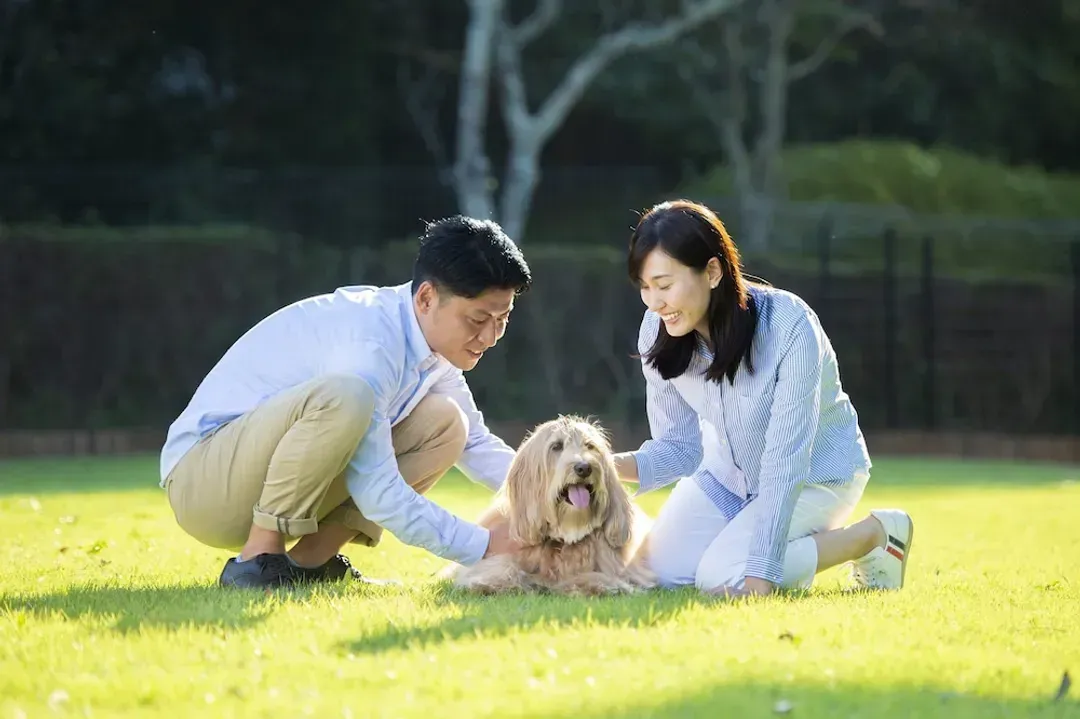 Pet-friendly