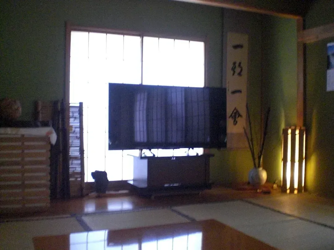 Television