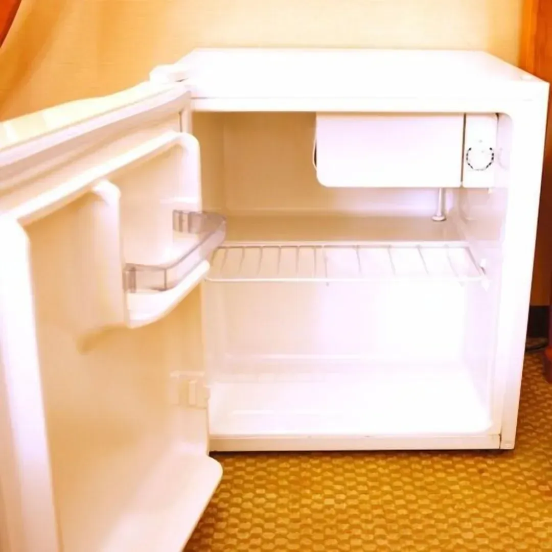Mini-refrigerator