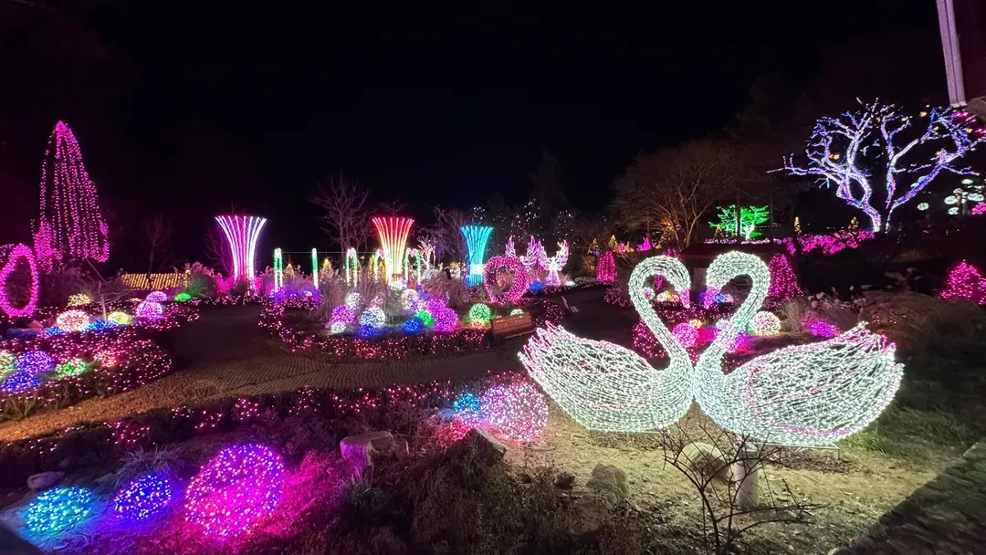 The Stay Healing Park(2026/3/16~11/30)