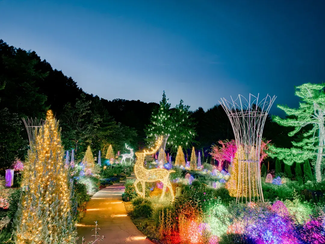 The Stay Healing Park(2026/3/16~11/30)