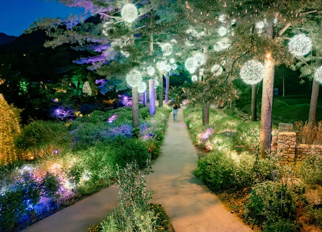 The Stay Healing Park(2026/3/16~11/30)
