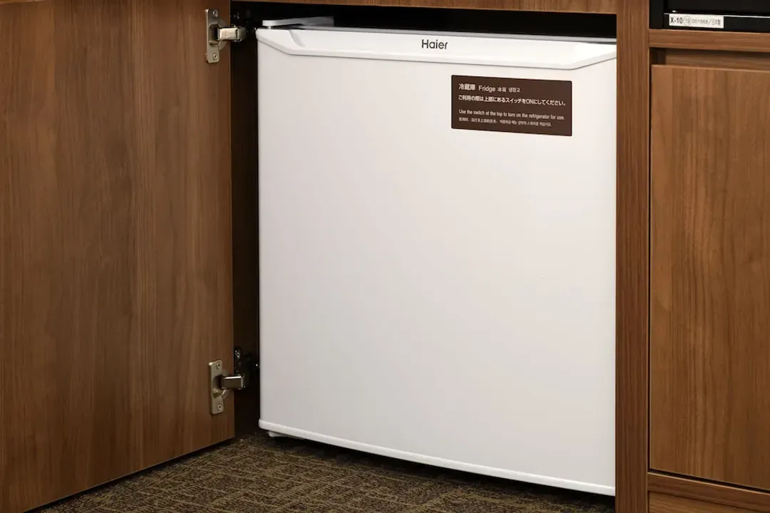 Mini-refrigerator