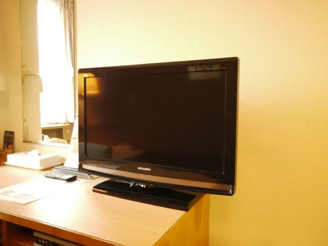 Television