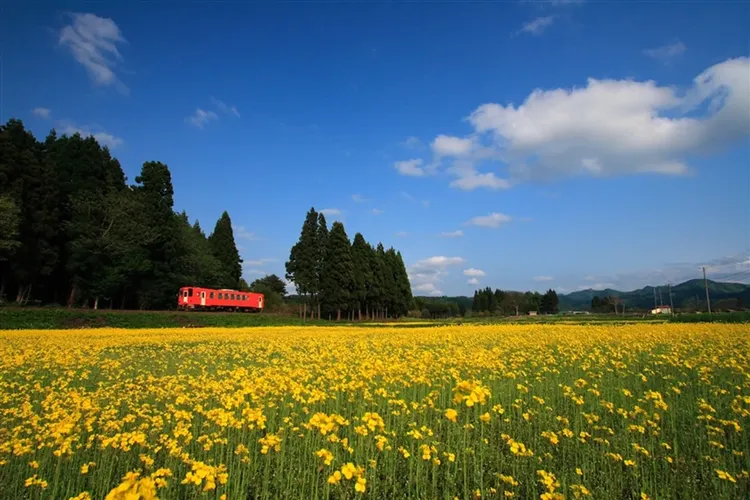 秋田內陸鐵道示意圖，景象四季不同，圖片僅供參考