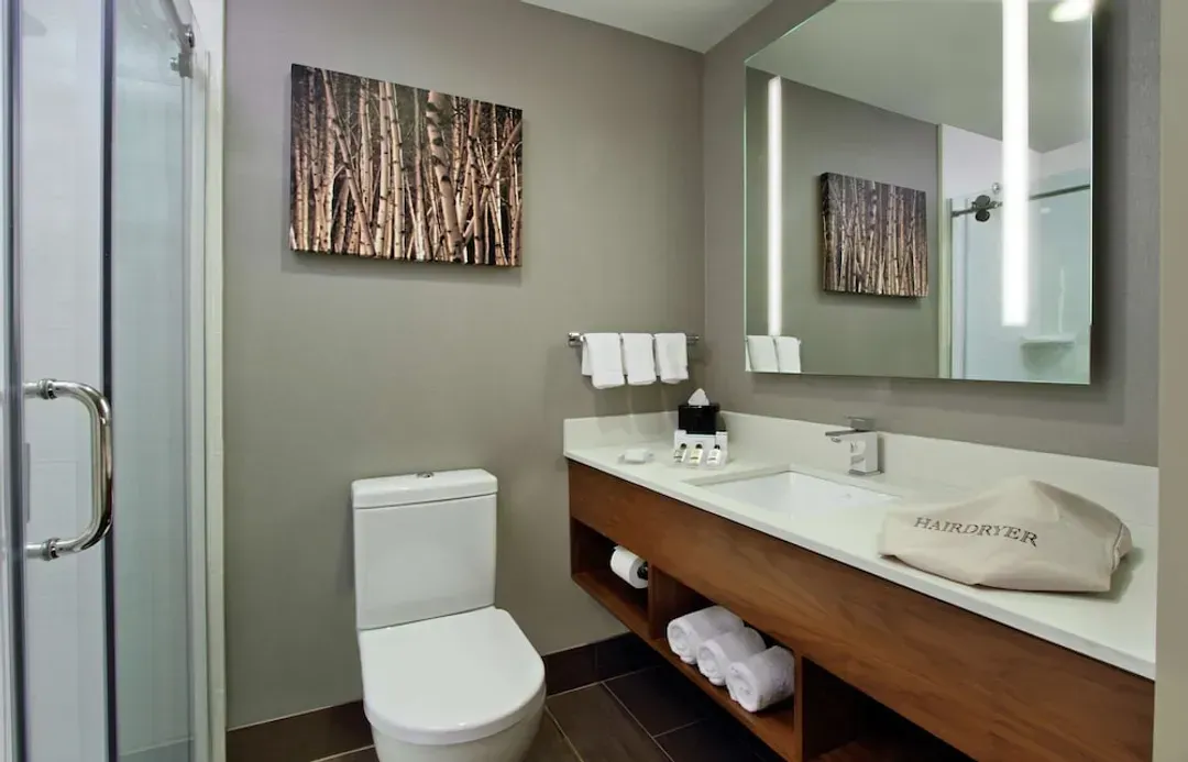 Bathroom shower