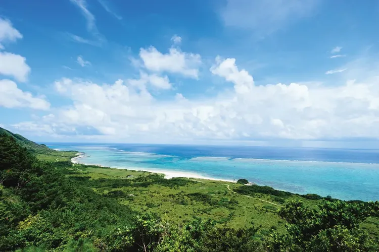 鑽石公主號 2026春季悠遊海島