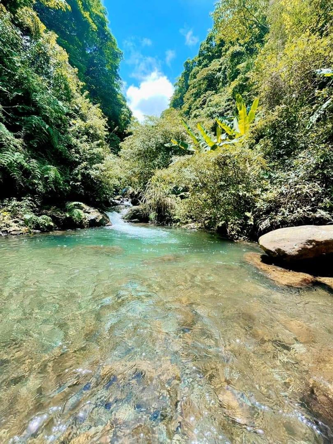 野溪冷泉