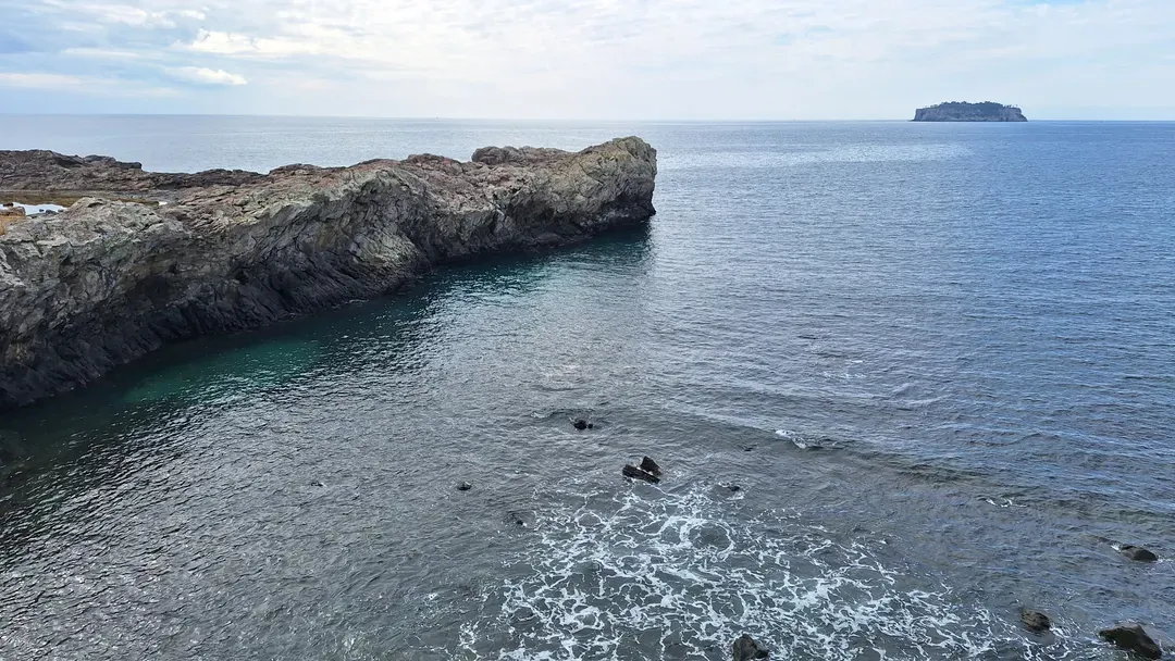 蚊島