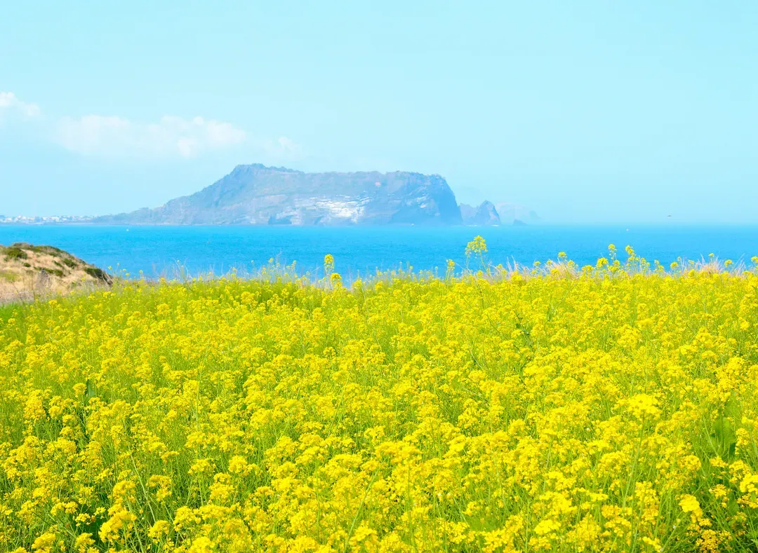 城山日出峰