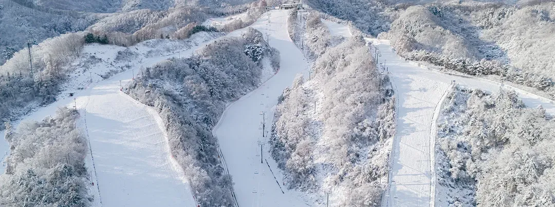 伊利希安江村度假村