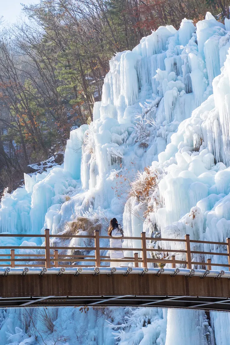 行程簡介-overview