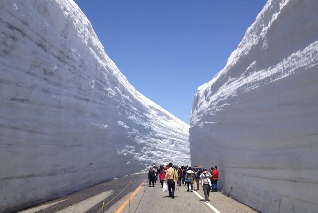 【ITF旅展優惠價】立山黑部雪壁奇景｜保住名古屋萬怡.合掌村.兼六園.國寶松本城.馬籠宿古道.甜蝦吃到飽.溫泉五日
