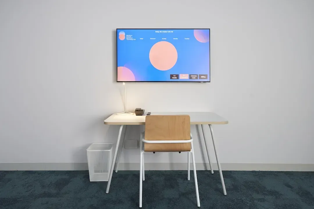 Television