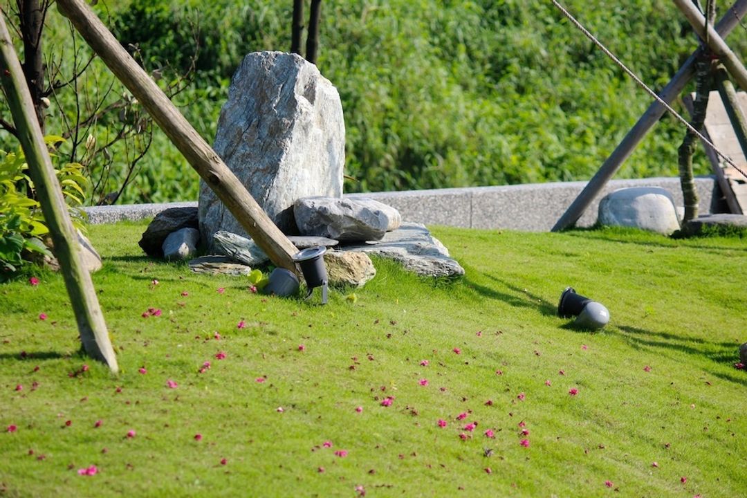 岸196 Ashore