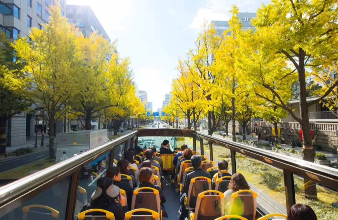 【大阪】雙層觀光巴士「OSAKA SKY VISTA」窺探360度大阪風情-5