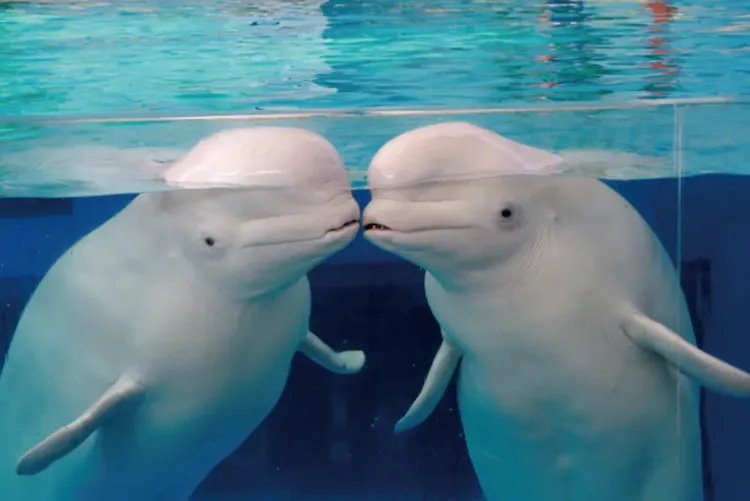 行程簡介-overview