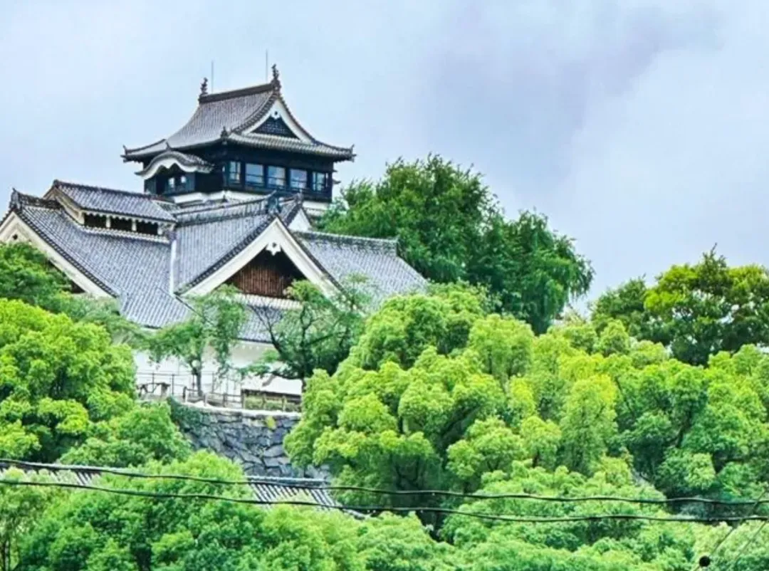 【福岡出發】九州熊本阿蘇火山草千里熊本城一日遊|熊本城+阿蘇山草千裏・阿蘇火山博物館+阿蘇火山+太宰府天滿宮|中英日三語導遊-10