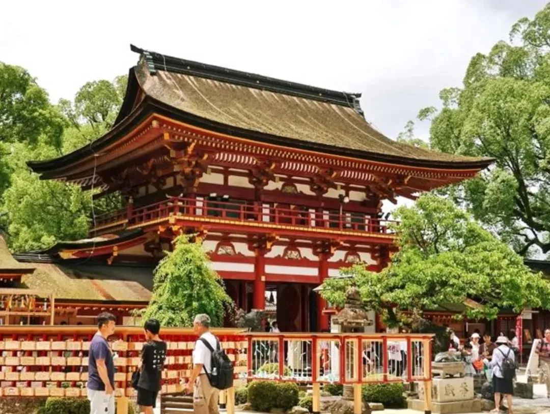 【福岡出發】九州熊本阿蘇火山草千里熊本城一日遊|熊本城+阿蘇山草千裏・阿蘇火山博物館+阿蘇火山+太宰府天滿宮|中英日三語導遊-8