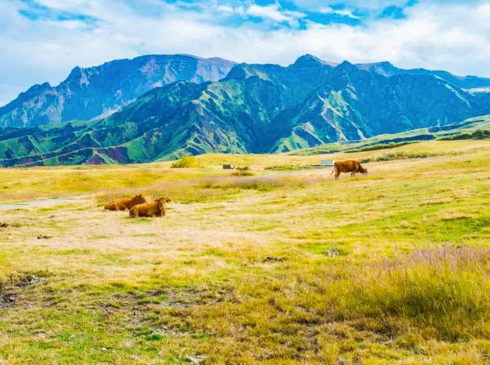 日本一日遊九州行程推薦
