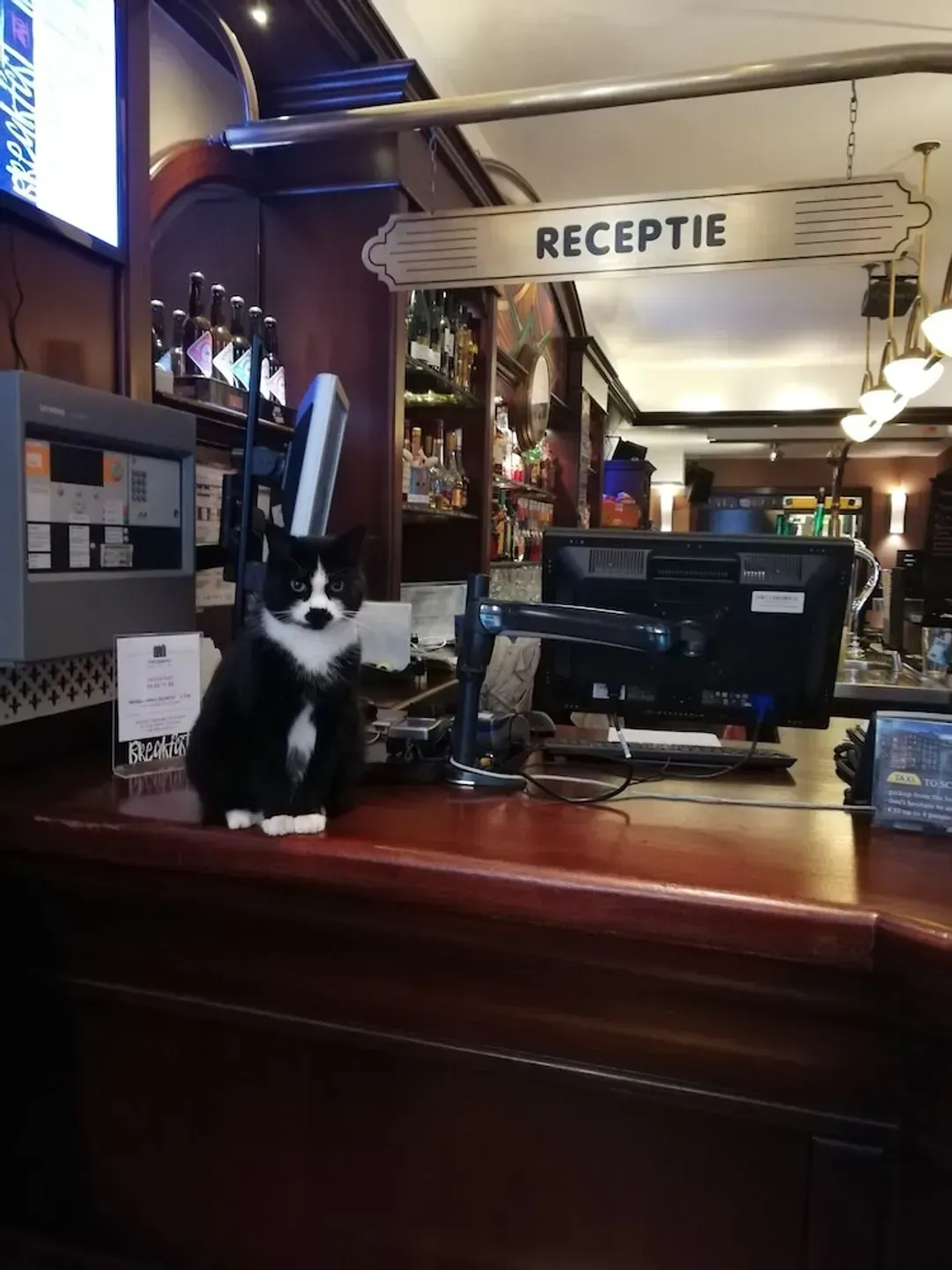Reception