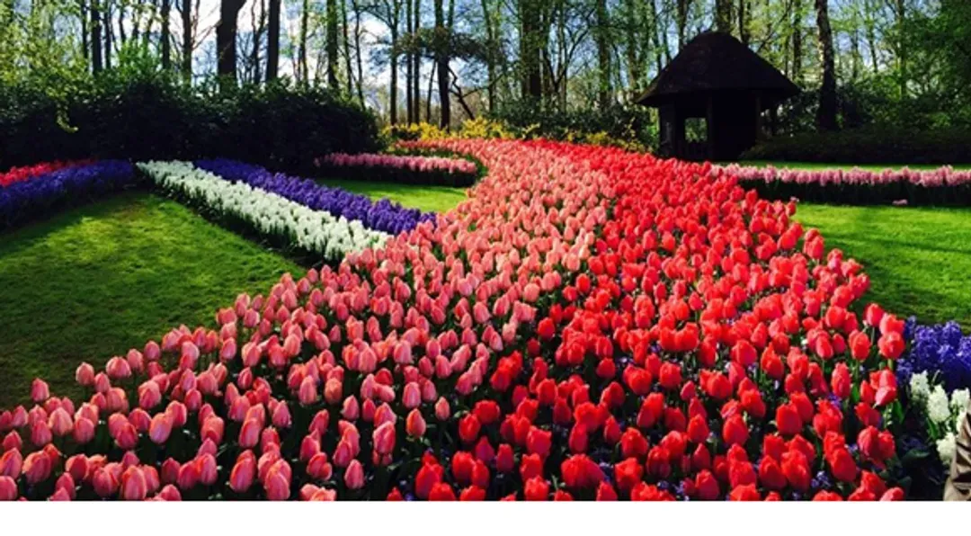 undefined-1
