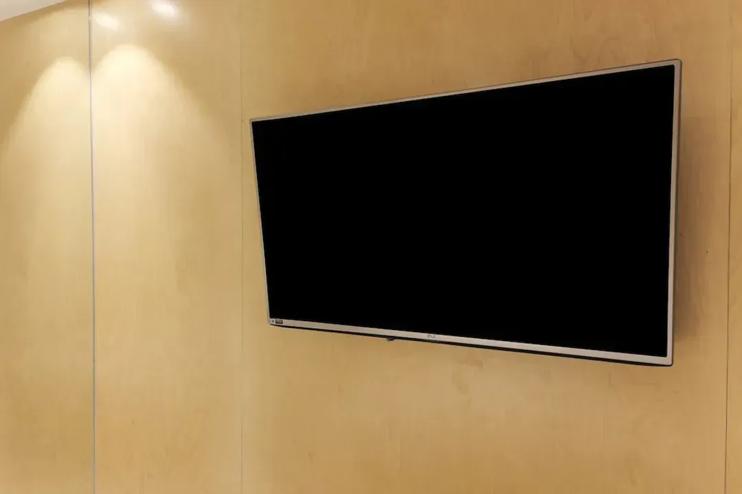 Television