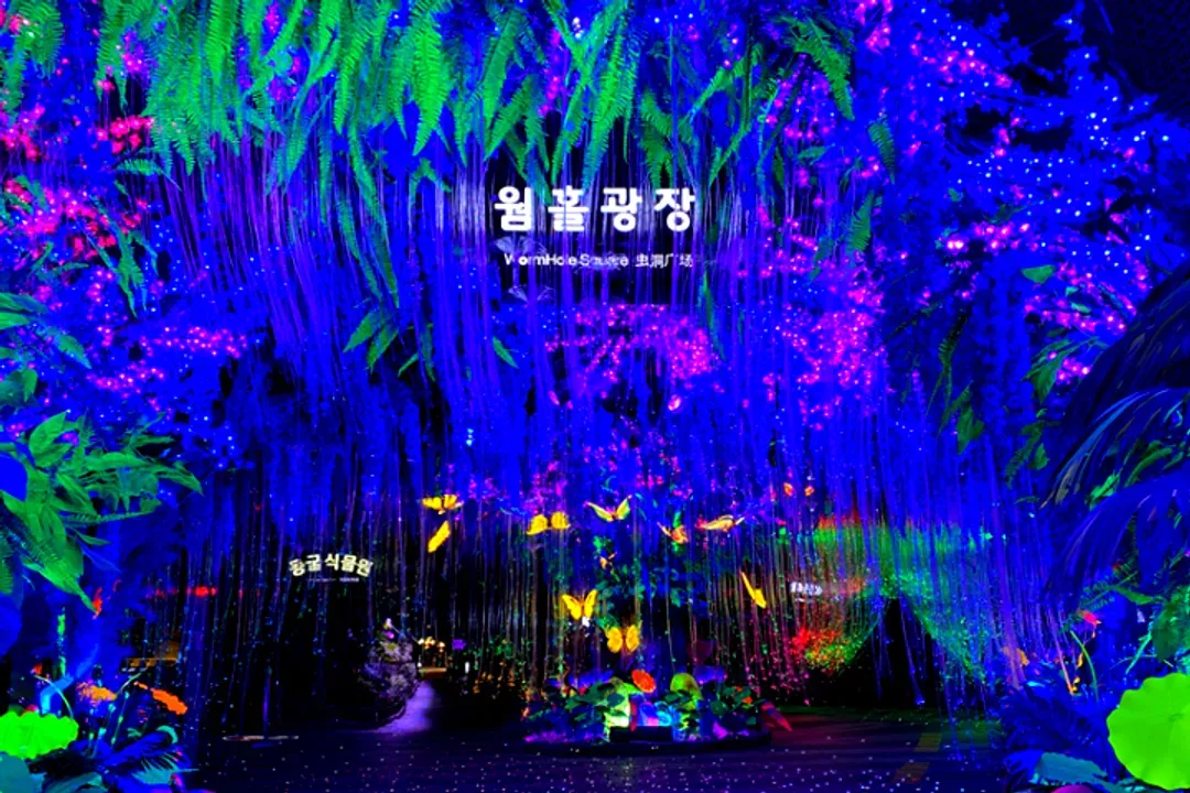 光明洞窟