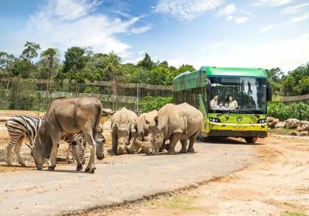 越南富國島｜海上珍珠野生動物園.威尼斯大世界.水上樂園.出海跳島浮潛.全程五星酒店6日｜無購物.直飛免簽證-7