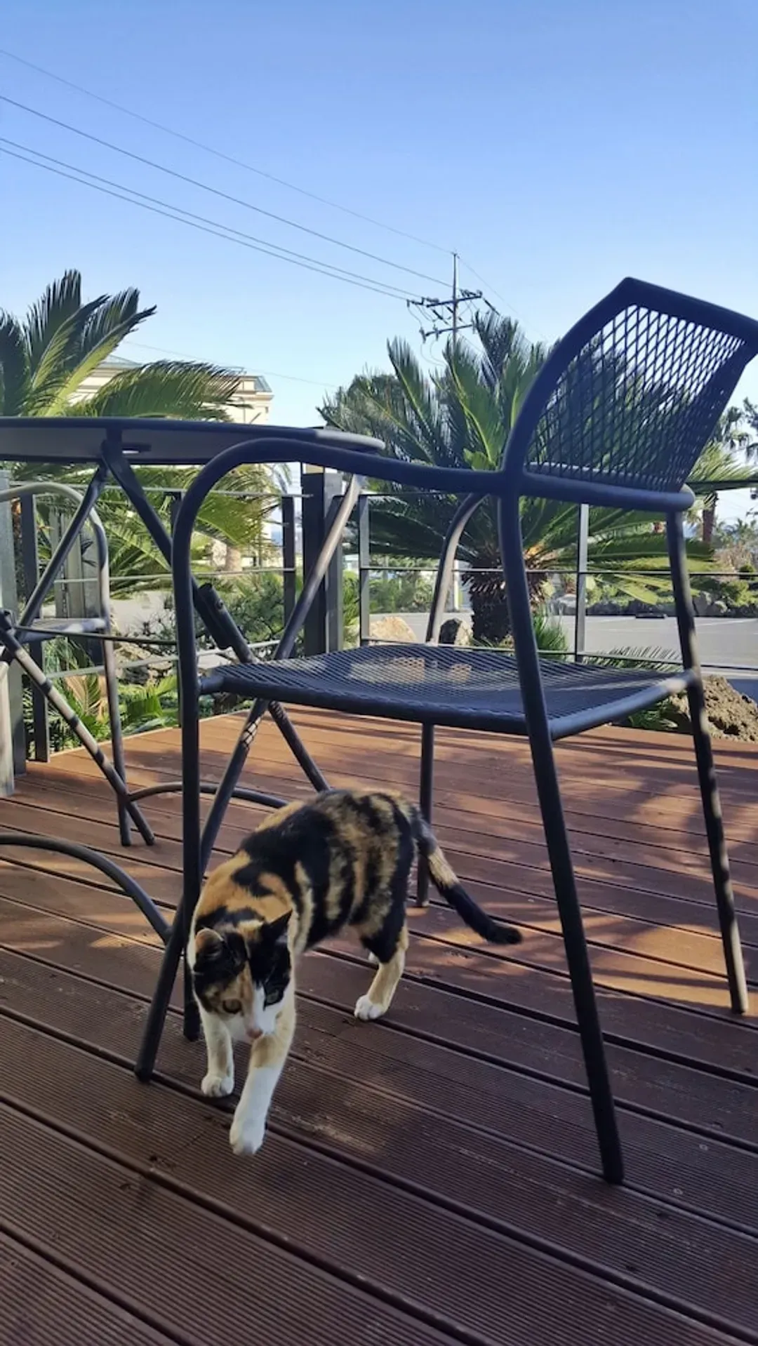 Balcony