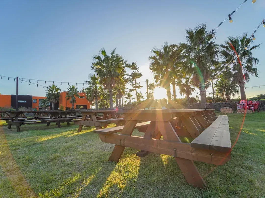 BBQ/picnic area