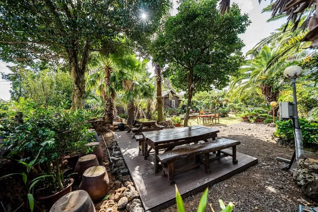 Garden