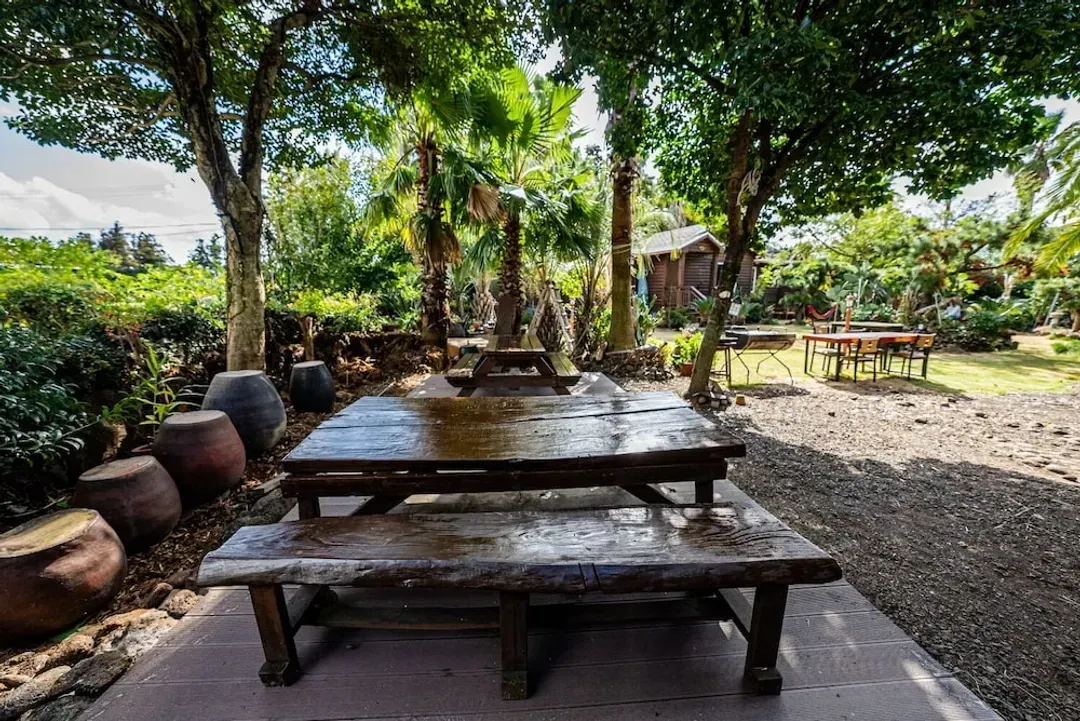 Garden