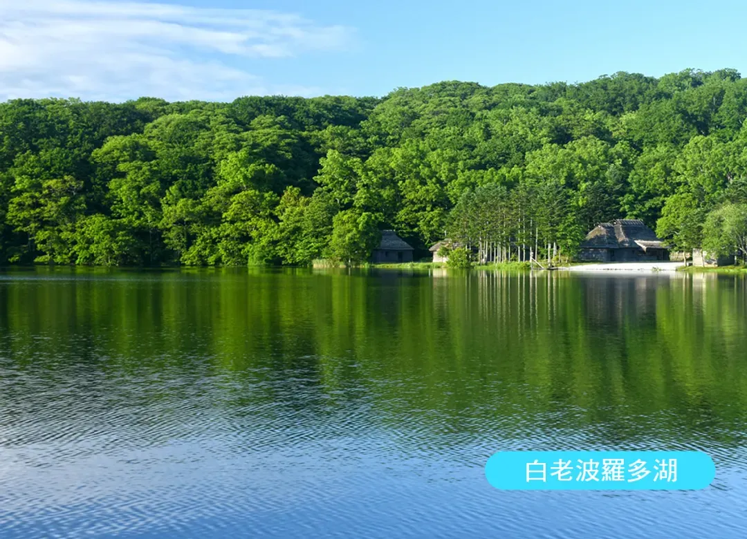 北海道白老波羅多5日(全程無自理餐).百萬函館山纜車.北斗列車體驗.尼克斯企鵝.溫泉美食三大螃蟹饗宴-6