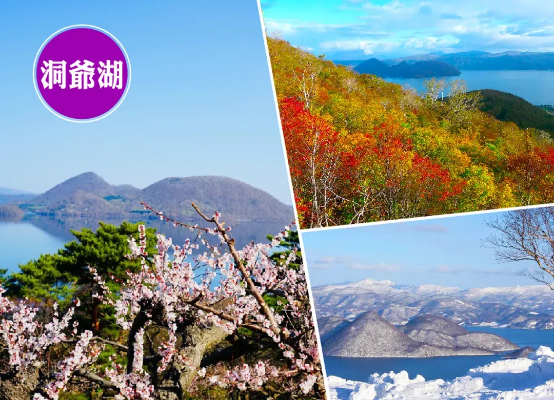 北海道白老波羅多5日(全程無自理餐).百萬函館山纜車.北斗列車體驗.尼克斯企鵝.溫泉美食三大螃蟹饗宴-5