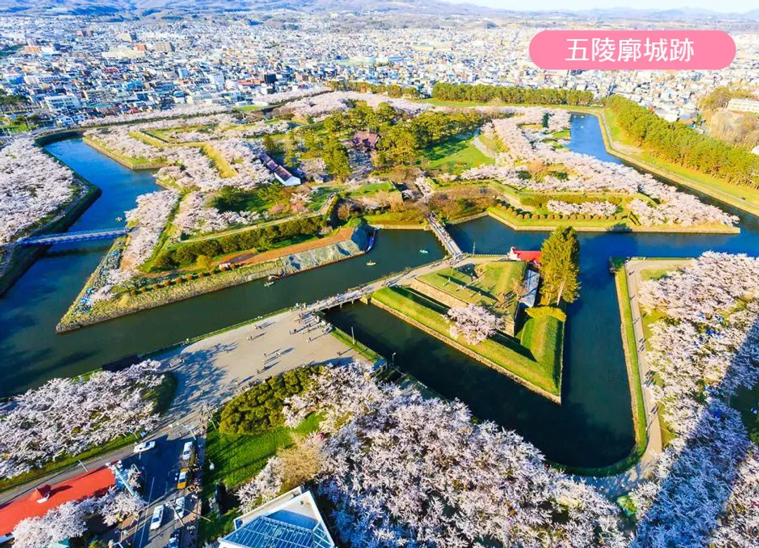 北海道白老波羅多5日(全程無自理餐).百萬函館山纜車.北斗列車體驗.尼克斯企鵝.溫泉美食三大螃蟹饗宴-8