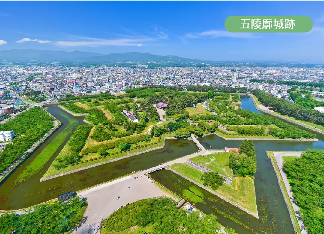 北海道白老波羅多5日(全程無自理餐).百萬函館山纜車.北斗列車體驗.尼克斯企鵝.溫泉美食三大螃蟹饗宴-8