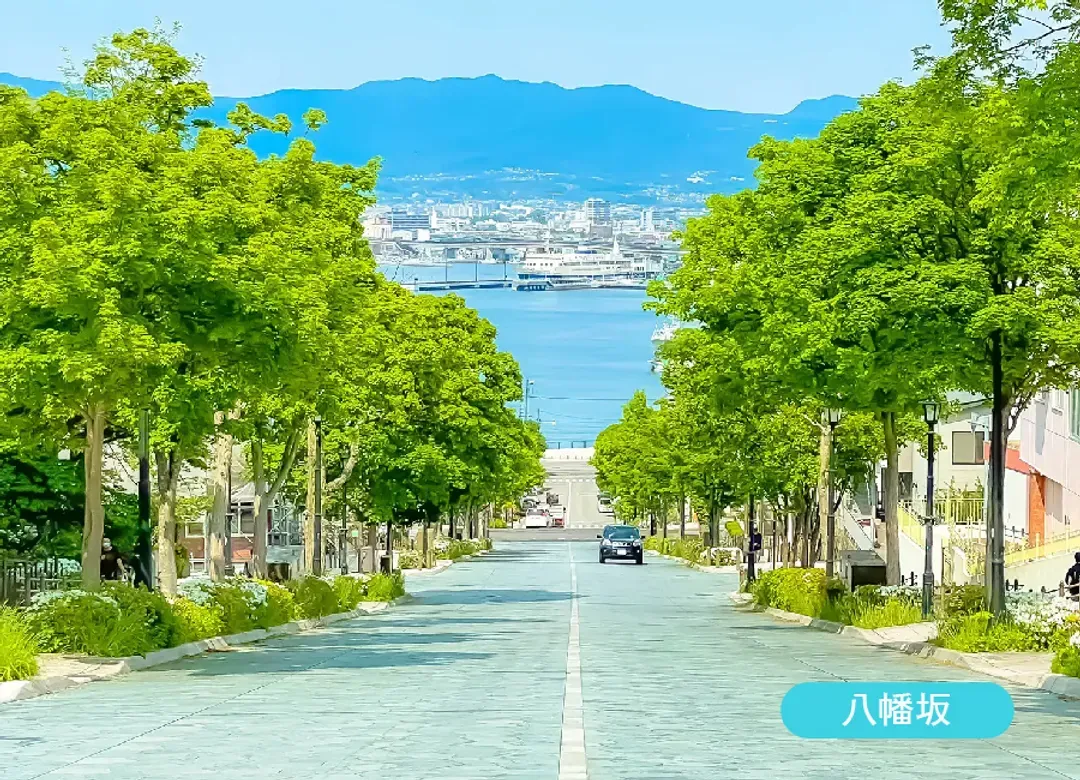 北海道白老波羅多5日(全程無自理餐).百萬函館山纜車.北斗列車體驗.尼克斯企鵝.溫泉美食三大螃蟹饗宴-5